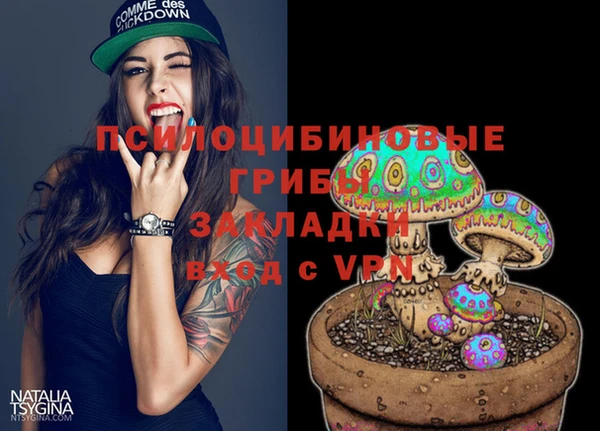 бутират Осинники