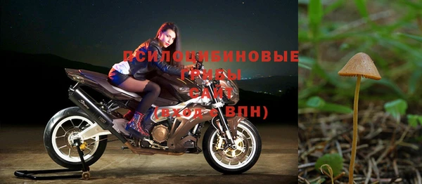 бутират Осинники