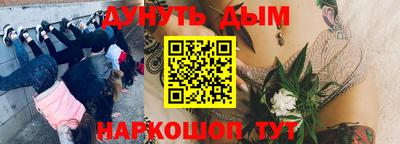 spice Балашиха