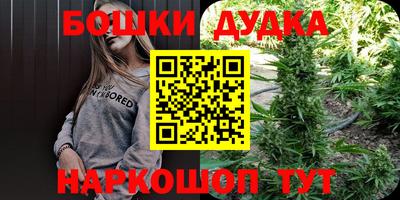 spice Балашиха