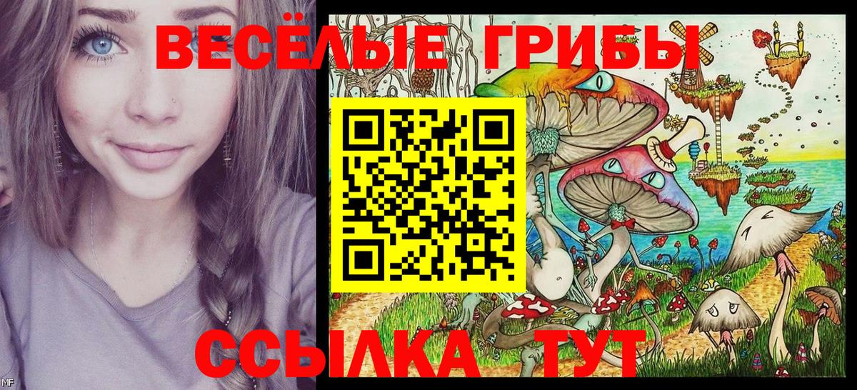 Псилоцибиновые грибы Cubensis Хабаровск